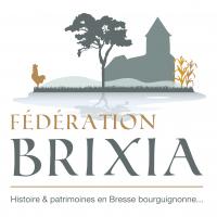 Federation Brixia logo carre web